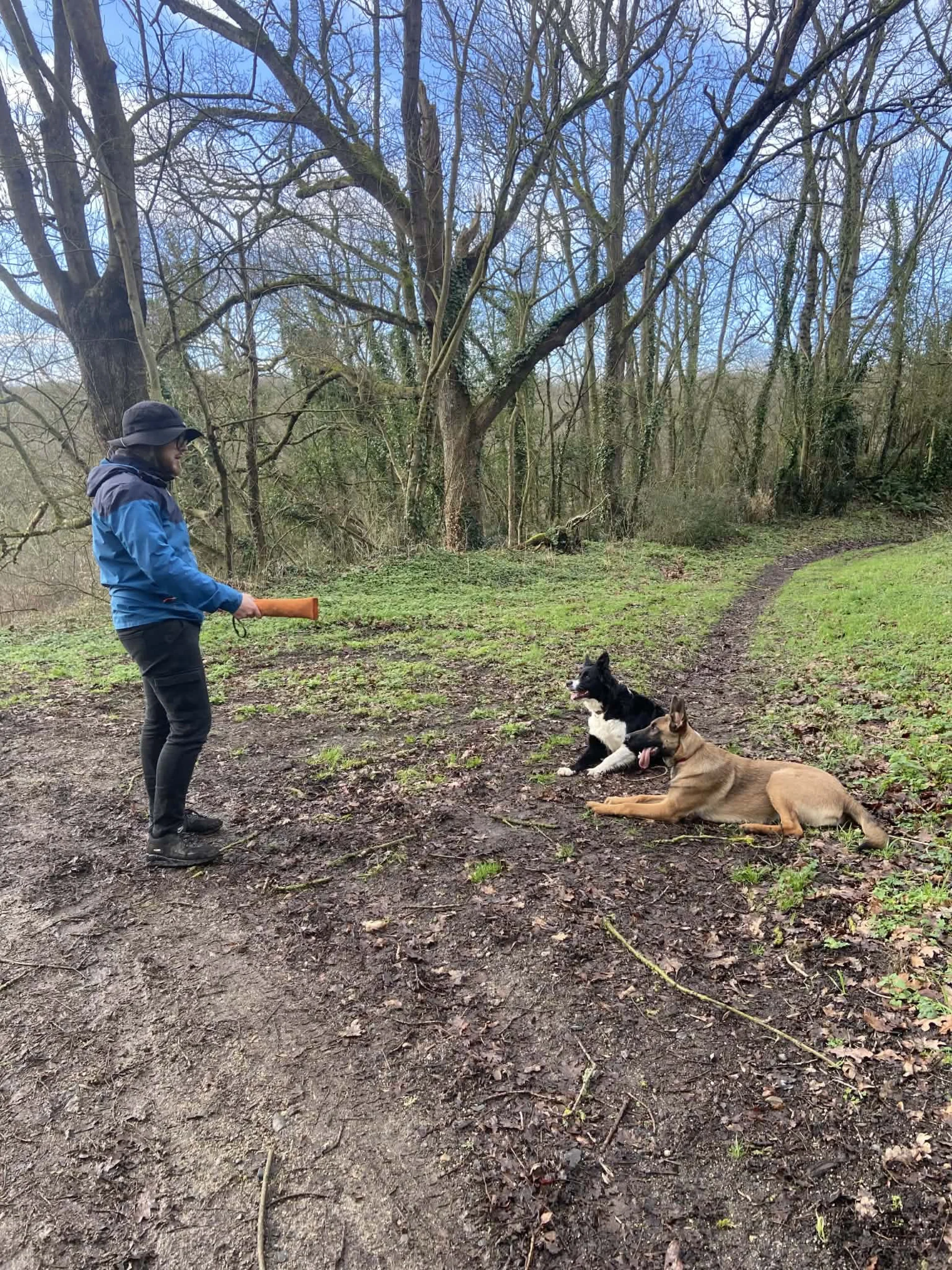Séance de coaching canin en forêt en Normandie — éducation du maître et du chien